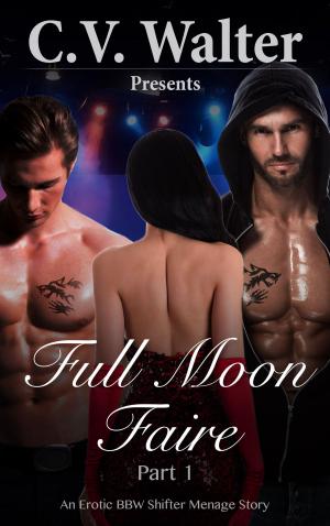 Cover of the book Full Moon Faire by C.V. Walter