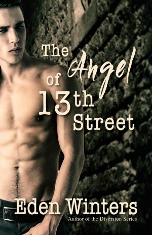 Cover of the book The Angel of 13th Street by P.D. Singer, Eden Winters