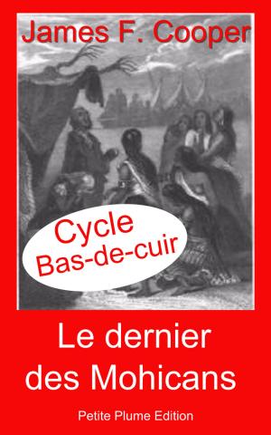 Cover of the book Le dernier des Mohicans by Pierre J.O. Chauveau