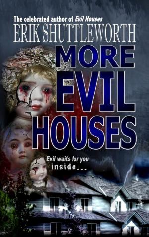 Cover of the book More Evil Houses by Nicole Vlachos