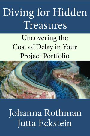 Cover of the book Diving for Hidden Treasures by John Schafer