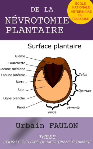 Cover of the book De la névrotomie plantaire by Paul Langevin