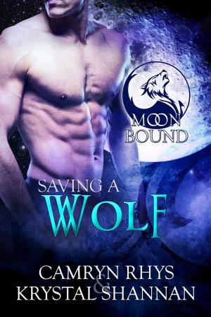 Cover of the book Saving a Wolf by Jackson Stein