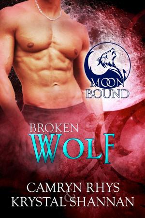 Cover of the book Broken Wolf by Raine Thomas