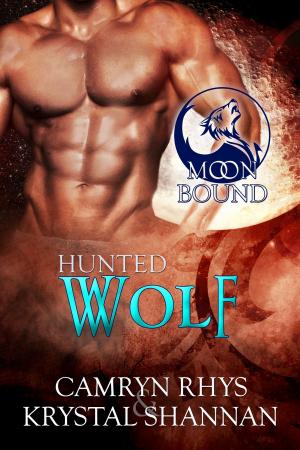 Book cover of Hunted Wolf
