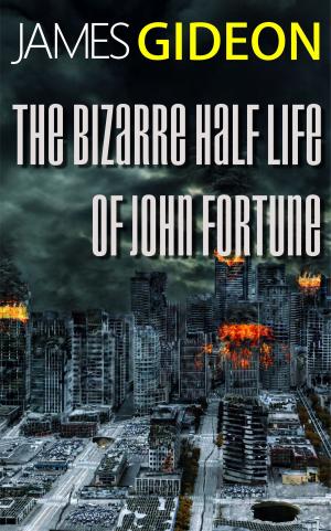 bigCover of the book The Bizarre Half-Life of John Fortune by 