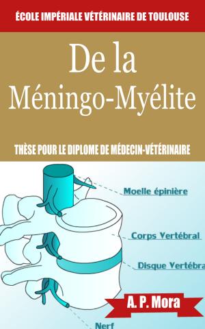 Cover of the book De la méningo-myélite by Paul Langevin