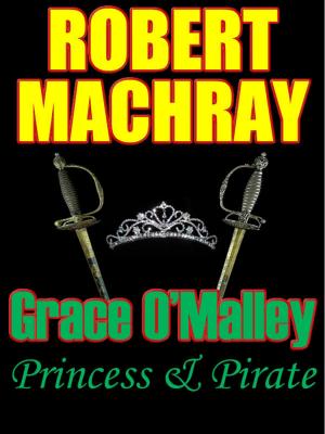 bigCover of the book GRACE O'MALLEY: Princess and Pirate by 