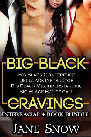 Book cover of Big Black Cravings