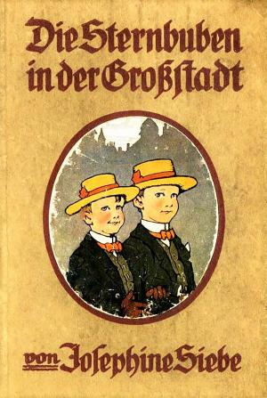 Book cover of Die Sternbuben in der Großstadt - Eine heitere Geschichte