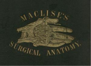 Cover of Surgical Anatomy
