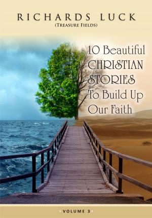 Cover of the book 10 Beautiful Christian stories vol 3 by Sheila K. Alewine