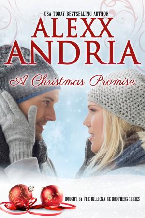 Cover of the book A Christmas Promise by Alexx Andria