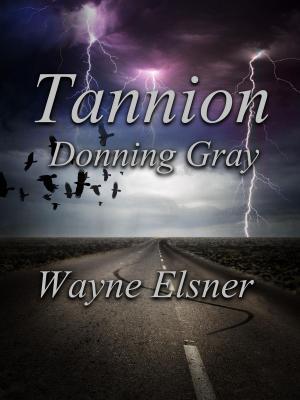 Cover of the book Tannion Donning Gray by Jennifer L. Kelly
