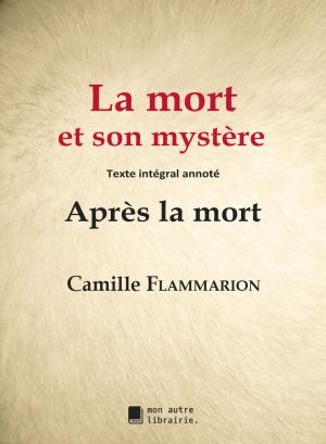Cover of the book La mort et son mystère by William James