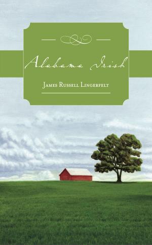 Book cover of Alabama Irish