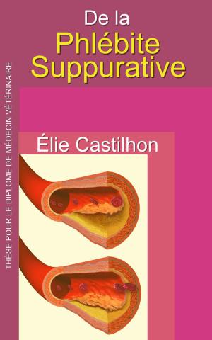 Cover of the book De la phlébite suppurative by Alfred Binet