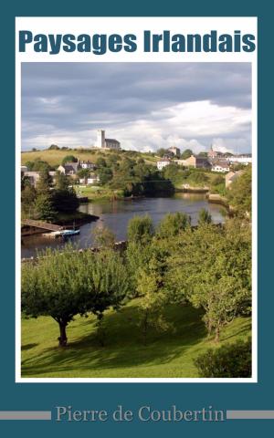 Cover of the book Paysages irlandais by François-Réal Angers