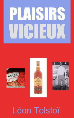 Cover of the book Plaisirs vicieux by Christine Schutt