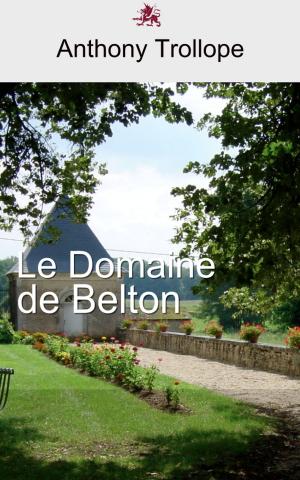 Cover of the book Le Domaine de Belton by Charles Dickens, Émile de La Bédollière.
