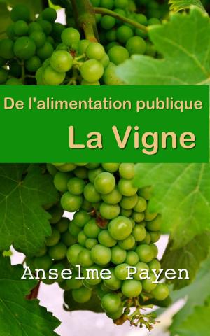 Book cover of De l’alimentation publique : la vigne