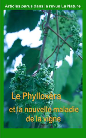 Cover of the book Le Phylloxéra et la nouvelle maladie de la vigne by Émile Verhaeren, Van Rysselberghe