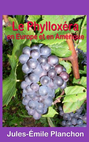 Cover of the book Le Phylloxéra en Europe et en Amérique by Frédéric Zurcher