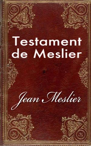 Book cover of Testament de Meslier