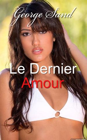 Book cover of Le Dernier Amour