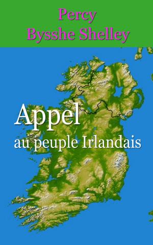 Book cover of Appel au peuple irlandais