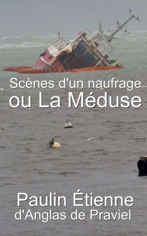 Cover of the book Scènes d’un naufrage ou La Méduse - Nouvelle et dernière relation du naufrage de la Méduse. by Renée Vivien
