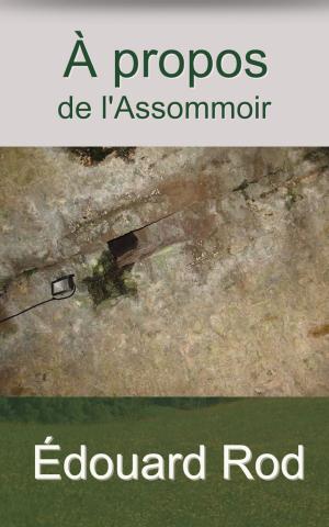 Cover of the book À propos de l’Assommoir by Hendrik (Henri) Conscience, Leon Wocquier