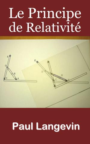 Cover of the book Le Principe de Relativité by Louisa Siefert