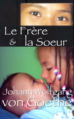 Cover of the book Le Frère et la Sœur by Suzanne Gagnebin