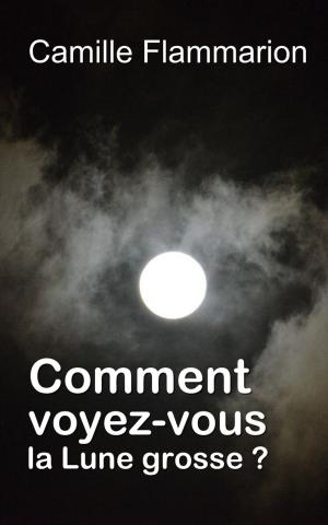 Cover of the book Comment voyez-vous la Lune grosse ? by Johann Wolfgang von Goethe, Jacques Porchat