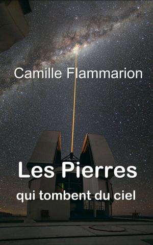 Cover of the book Les Pierres qui tombent du ciel by Wilfrid de Fonvielle