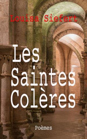 Book cover of Les Saintes Colères