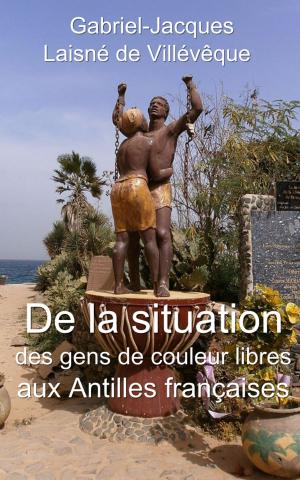 Book cover of De la situation des gens de couleur libres aux Antilles françaises