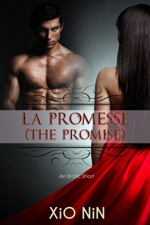 Book cover of La Promesse