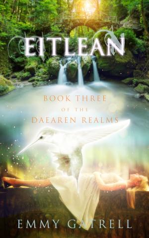 Book cover of Eitlean
