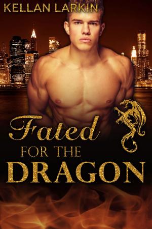 Cover of the book Fated for the Dragon by Kellan Larkin