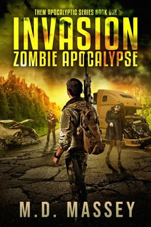 Cover of the book Invasion by Raymond Burke