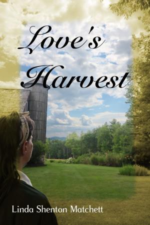 Book cover of Love's Harvest