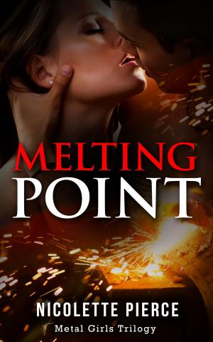 Cover of the book Melting Point by Angel S. Broady