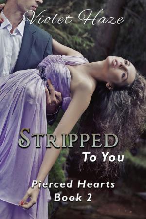Cover of the book Stripped to You by Violet Haze