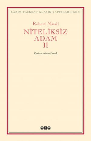 Book cover of Niteliksiz Adam 2