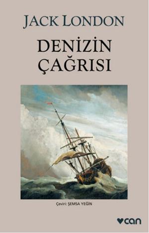 Cover of the book Denizin Çağrısı by Paul Auster