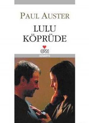 Cover of the book Lulu Köprüde by Stefan Zweig