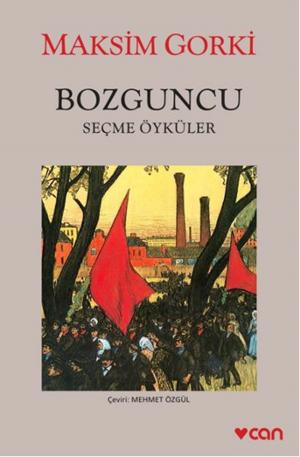 Cover of the book Bozguncu by Fyodor Mihailoviç Dostoyevski