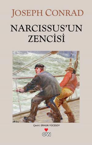 Cover of the book Narcissus'un Zencisi by Maksim Gorki